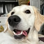 Stella - @mcguireswhitegirlstella - Instagram