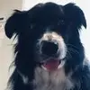 Stella Mills640 - @stellamills1 - TikTok