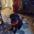Stella Mills - Facebook