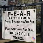 Chris Williamson - @stella.monday.3990 - Instagram