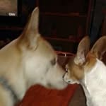 Stella Murray - @stella.murray52 - Instagram