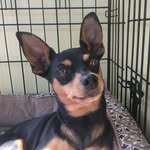 Stella Murray - @stella_min_pin - Instagram
