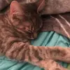 user6305204913876 - @stellamurray05 - TikTok