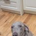 Stella Odonnell - Facebook