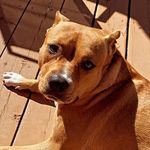 Stella Bleu Olson - @miss_stella_bleu_ - Instagram