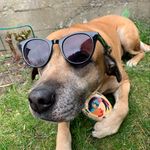 Stella Olson Lesch - @stellas_privata_omg - Instagram