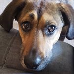 stella patterson - @stella_patterson_ - Instagram