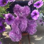 Stella Patterson - @stellapatterson7 - Instagram
