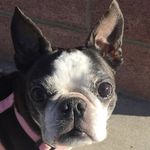 Stella Patterson - @stellamynugget - Instagram