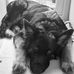 Stella Patterson - Facebook