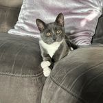 Stella Patterson - @patterson_stella - Instagram