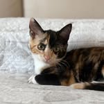 Stella 💫 - @stella.pazzerella - Instagram