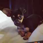 stella paz - @stellapaz97 - Instagram