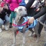 Stella Paz - @paz.stella - Instagram
