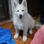 stella paz - @stella_paz_torrens_silva - Instagram