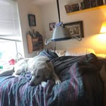Stella Phillips - @stella_phillips_1 - Instagram