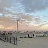 Stella Phillips - @stella.phillips0 - TikTok