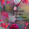 Stella Ponce - @stellaponce0 - TikTok