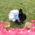 Stella Poon - Facebook