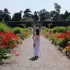 stellapurcellbate - @stellapurcellbate - TikTok