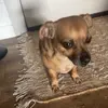 Stella - @stella_quick - TikTok