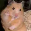Estella Ramirez - @estella.ramirez6 - TikTok