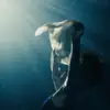 Stella Reed - @stella.reed.40235 - TikTok
