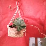 stella la rocca - @stella_la.rocca - Instagram