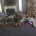 Stella Rodgers - Facebook