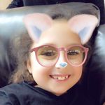 Stella Rodgers 🦔🐶🐱👑🎒 - @rodgerss28 - Instagram