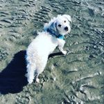 Stella - @stella_rodgers29 - Instagram