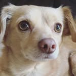 Stella Rudd - @stella_rudd - Instagram