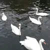 Stella Rudd - @stella.rudd6 - TikTok