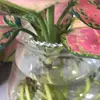 stellaruddle - @stella.ruddle - TikTok