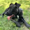 Stella Marie Russell - @stella.m.russell - TikTok