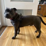 Stella Russell - @srussell082 - Instagram