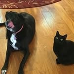 Stella Russell - @stella.russell.796 - Instagram