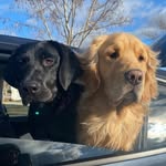 Stella, Russell & Mo’ - @stella_and_russell - Instagram