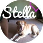 Stella Doo Saenz - @teamstelladoo - Instagram
