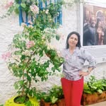 Stella Salazar - @stellasalazar64 - Instagram