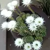 stellasavva813 - @stellasavva813 - TikTok