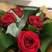 Stella Schofield - Facebook