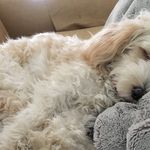 Stella.Bella.Schofield - @stella_bella_schofield - Instagram