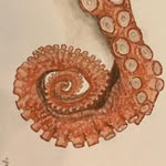Stella - @stellasensel_art - Instagram