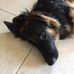 Stella Shepard - Facebook