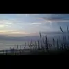 stellashepard - @kaylasharkey1 - TikTok