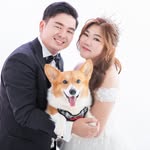 Stella Sing - @stellasing - Instagram