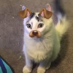 stella skinner - @stellaskinner123 - Instagram