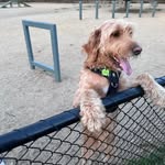 Stella Skinner - @sskinsskin - Instagram