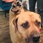 Stella Skinner - @omg_im_a_starrr - Instagram
